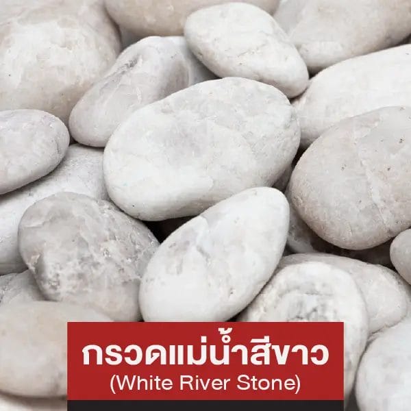 กรวดแม่น้ำสีขาว