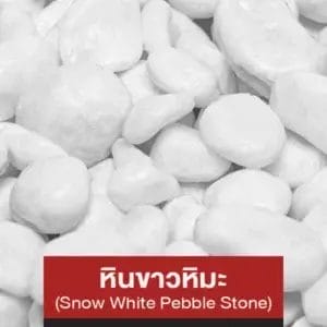 หินขาวหิมะ (Snow White Pebble Stone)