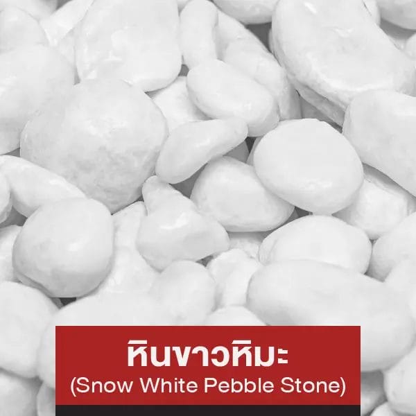 หินขาวหิมะ (Snow White Pebble Stone)