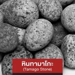 หินทามาโกะ (Tamago Stone)