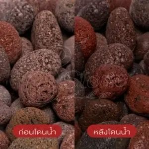 หินลาวาแดง (Red Lava Stone)