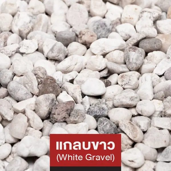 แกลบขาว