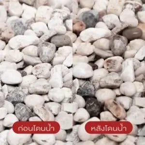 แกลบขาว