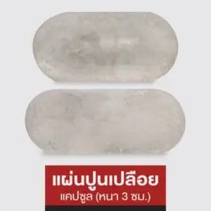 แผ่นปูนเปลือยแคปซูล